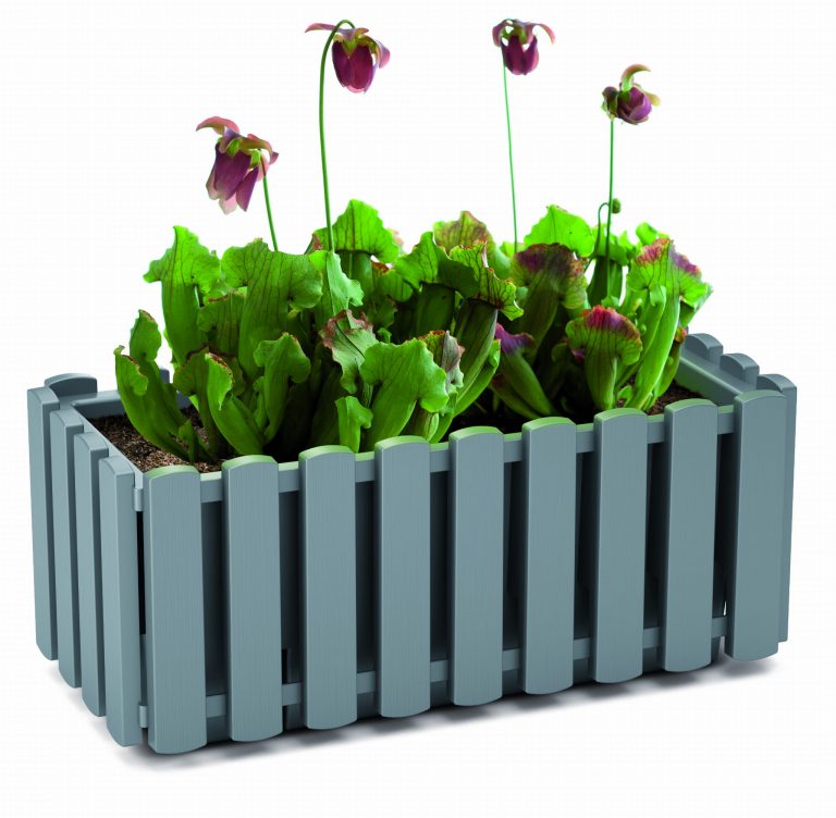 Blumentopf groß kaufen - elegante Lösungen für große Pflanzen